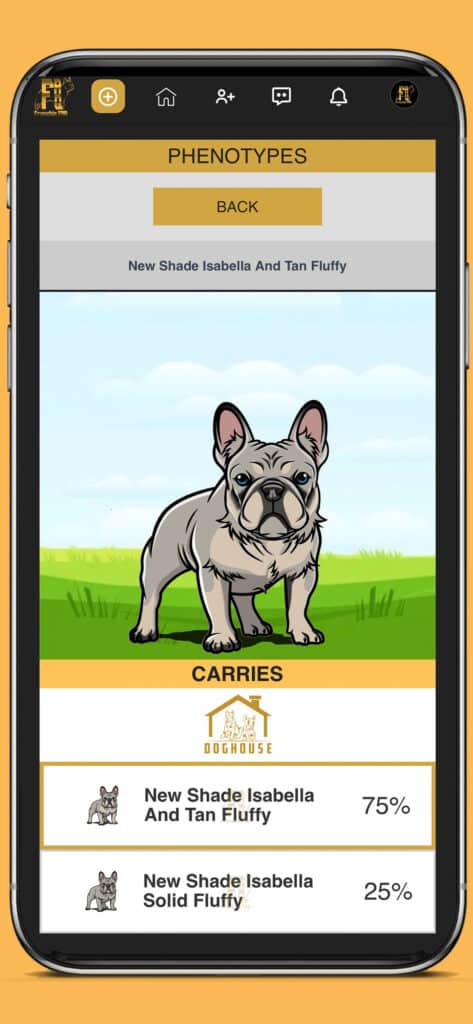 Dog House - Frenchie Breeding Calculator Preview