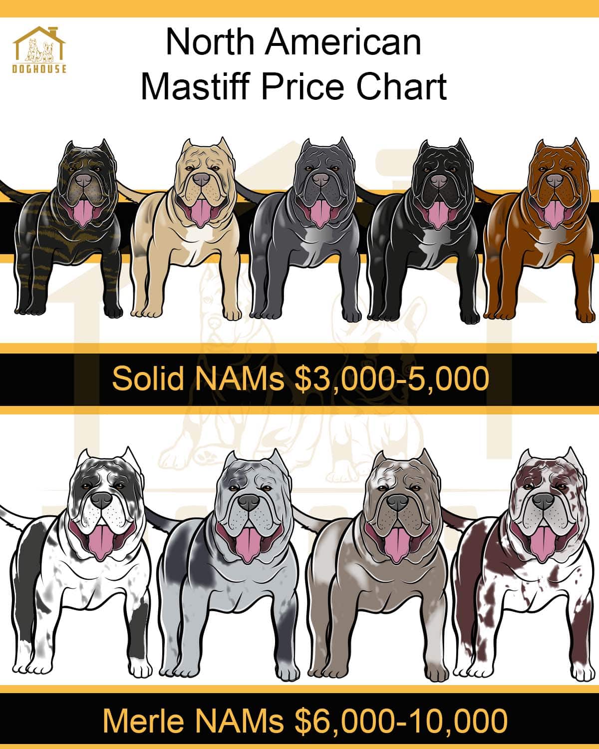North American Mastiff Price Chart