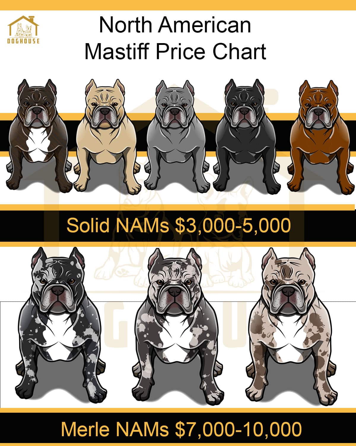 North American Mastiff Price Chart
