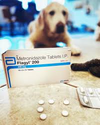 Metronidazole for dogs